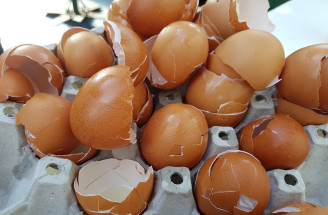 Už viac nevyhadzuj škrupiny z vajec! Pozri, ako ti pomôžu.