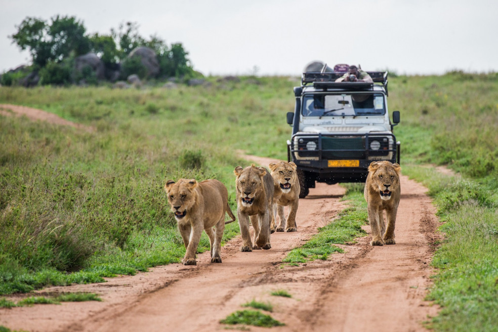 africké safari