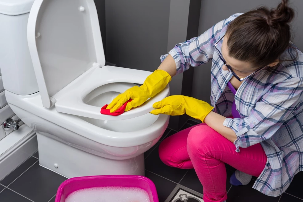 spôsoby ako vyčistiť WC