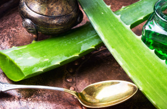 7 tipov, ako využiť Aloe vera pre krásu: Prečo ich vyskúšať?