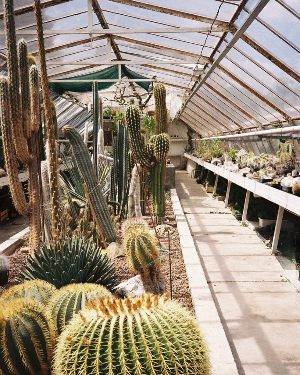 Arborétum Borová hora