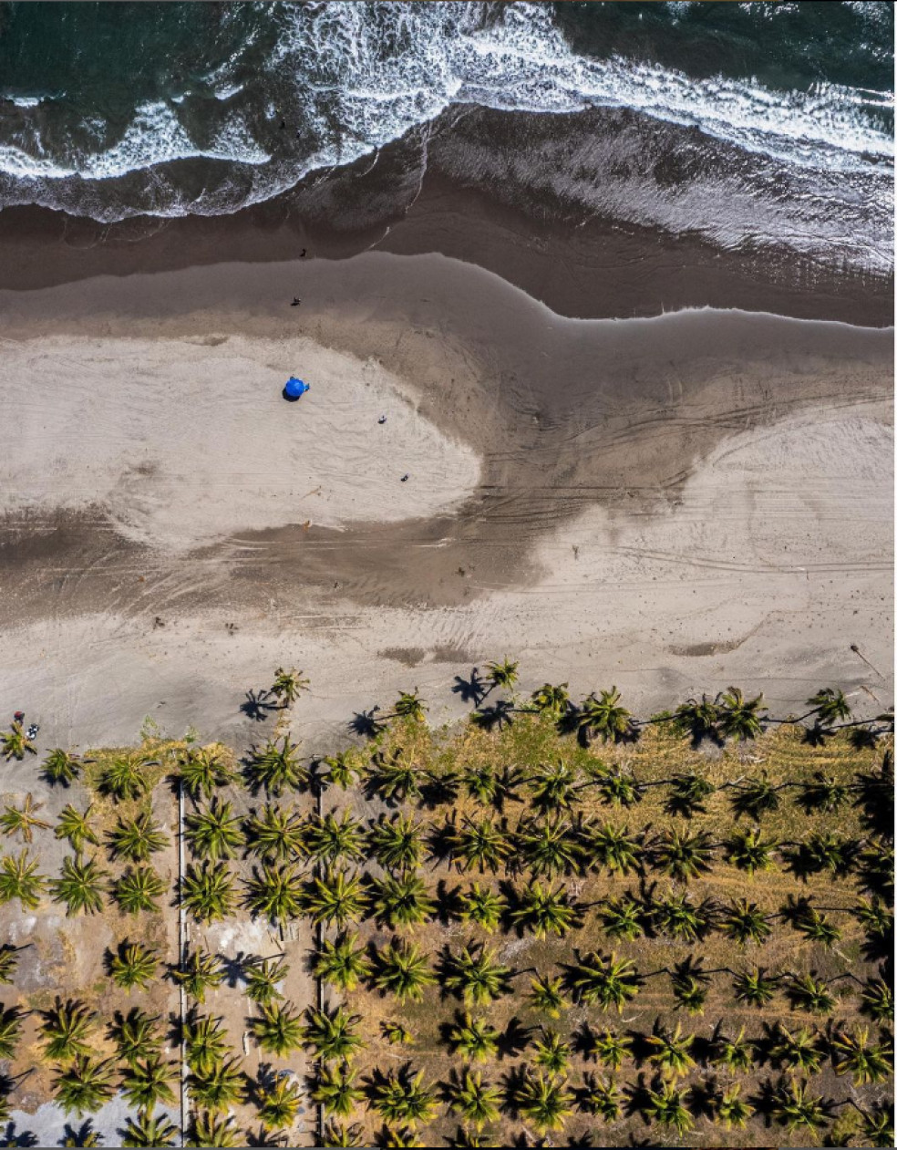 Playa Jardín