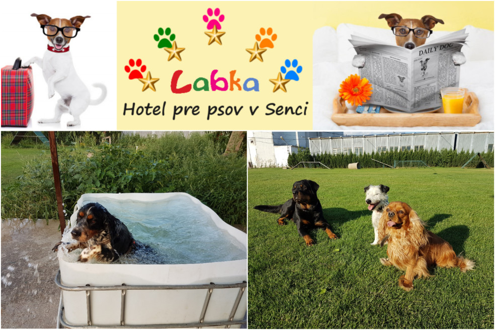 Hotel pre psov Labka