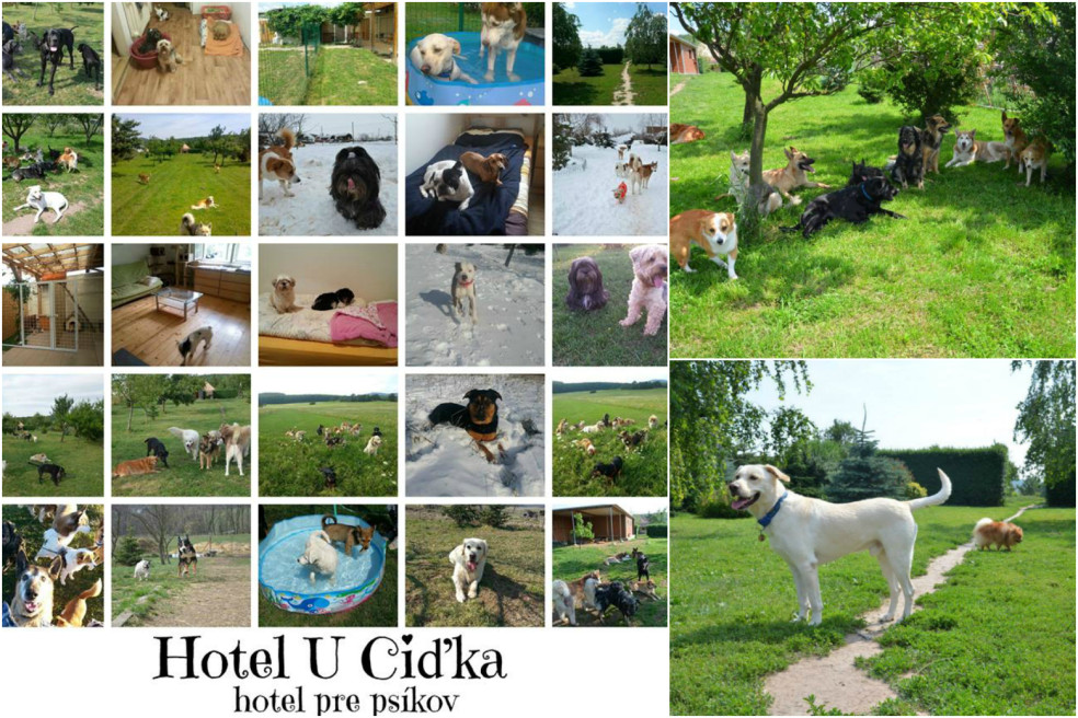 hotel u Ciďka