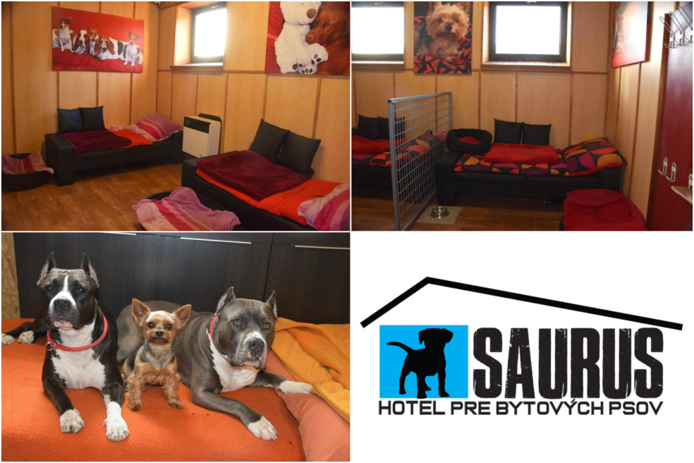 hotel Surus