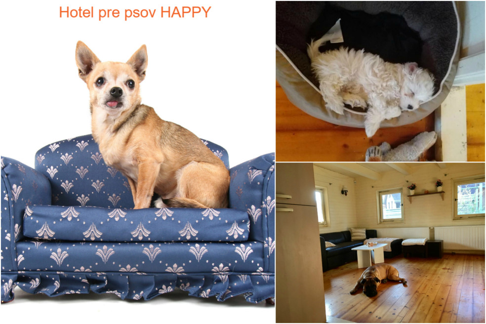 hotel pre psov HAPPY
