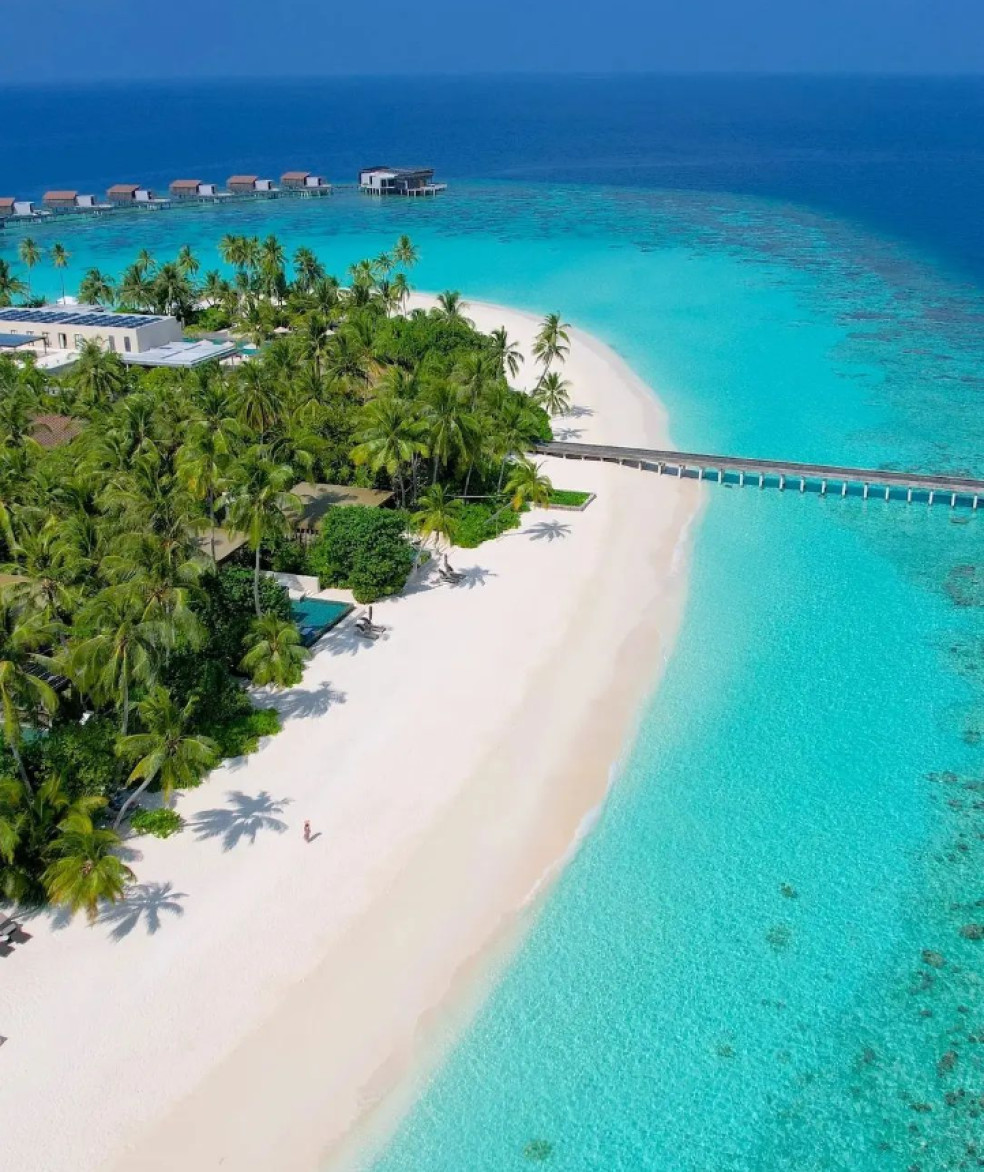 Maldivy