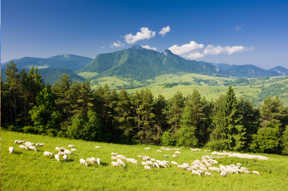 5 najnavštevovanejších vrcholov Slovenska