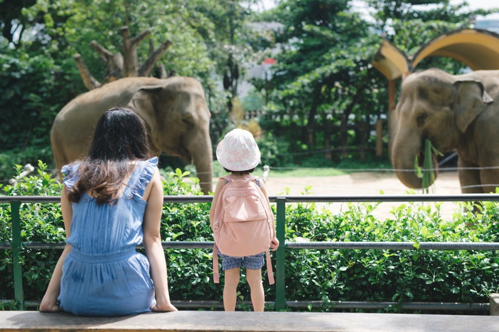 slovenské zoo