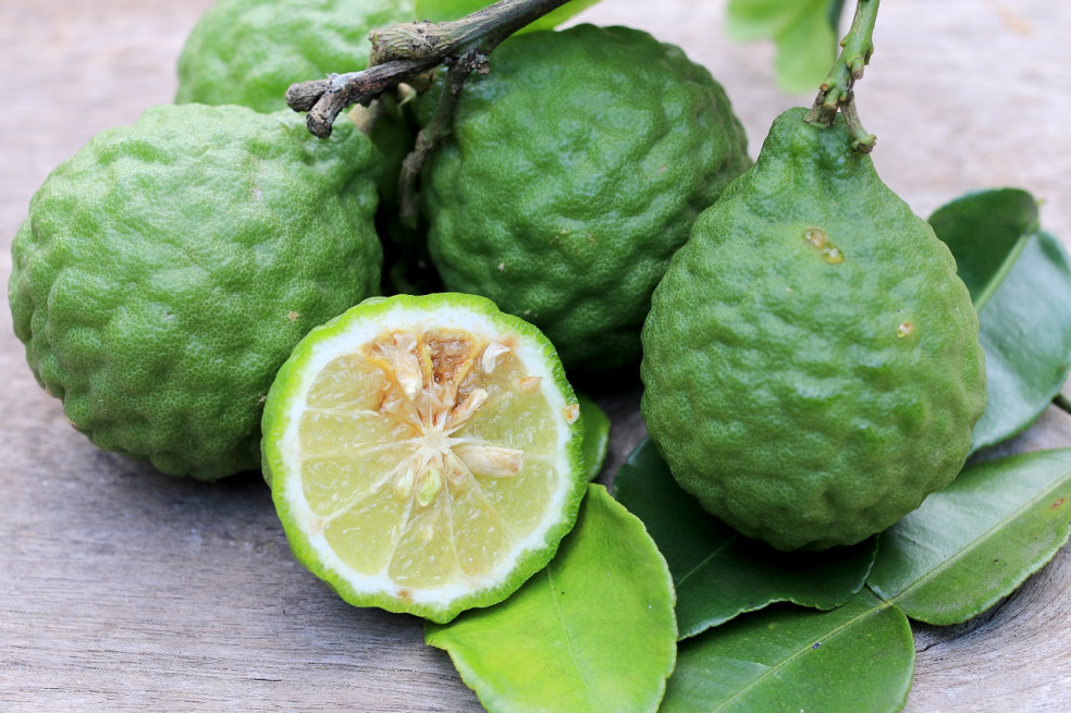 bergamot