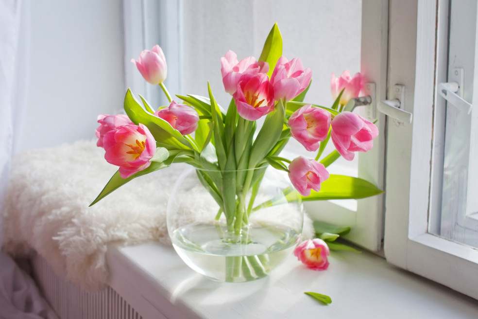 ako predĺžiť životnosť tulipánov