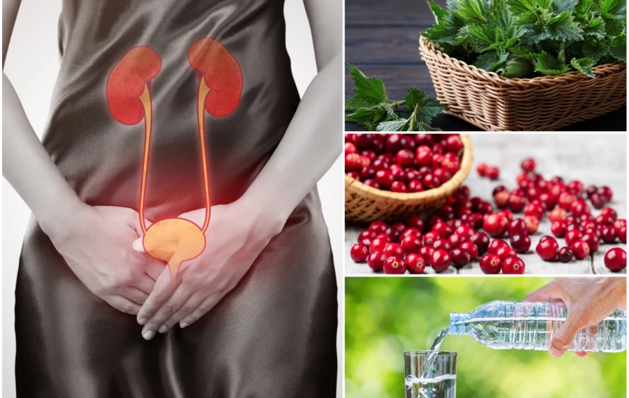 Prírodná liečba zápalu močových ciest