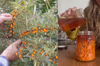 TOP tip na použitie liečivého rakytníka – fermentovaný rakytník v mede