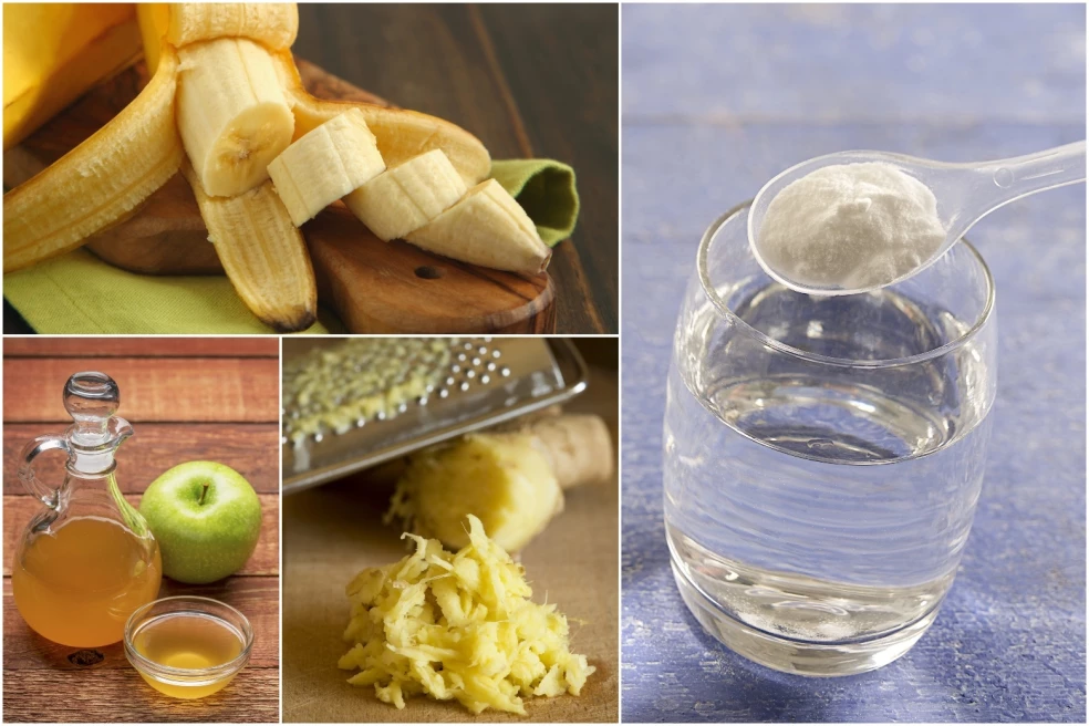 ingrediencie proti bolesti žalúdka