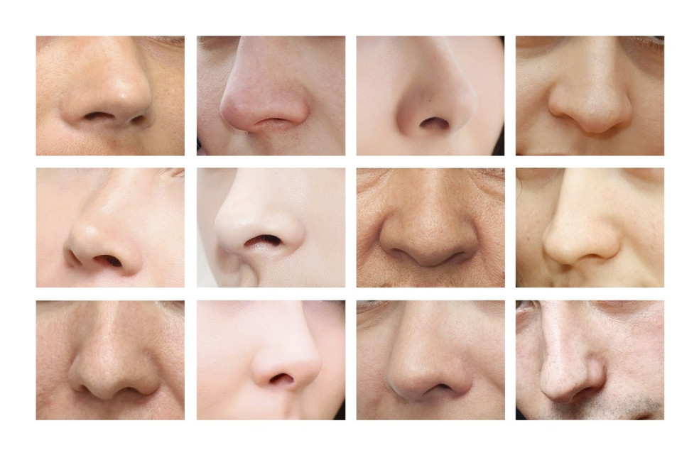 typy nosov