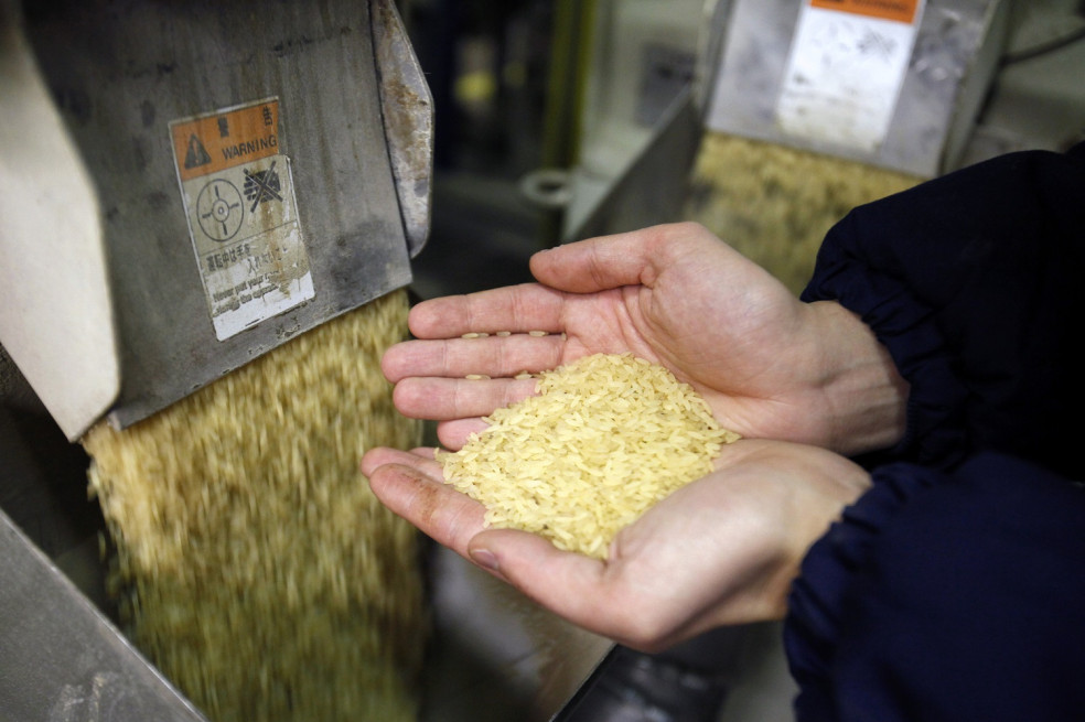 výroba parboiled ryže