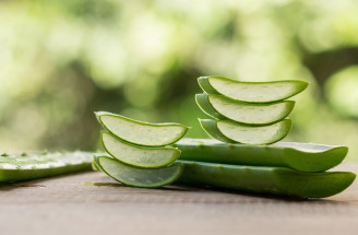 Prečo pestovať aloe vera? Takto ho využiješ pre zdravie i krásu!