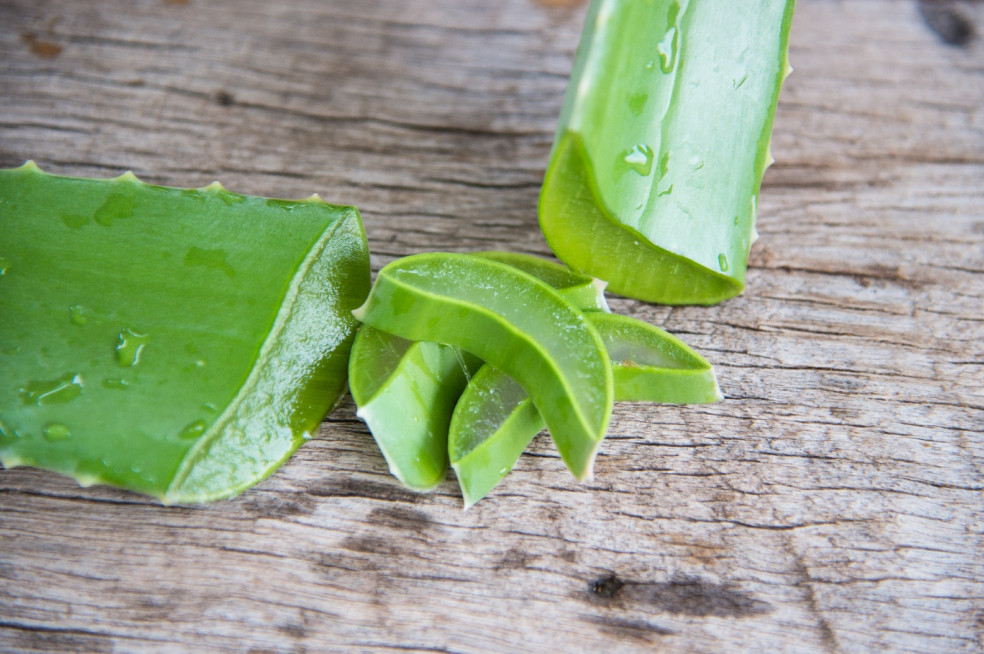 Aloe vera