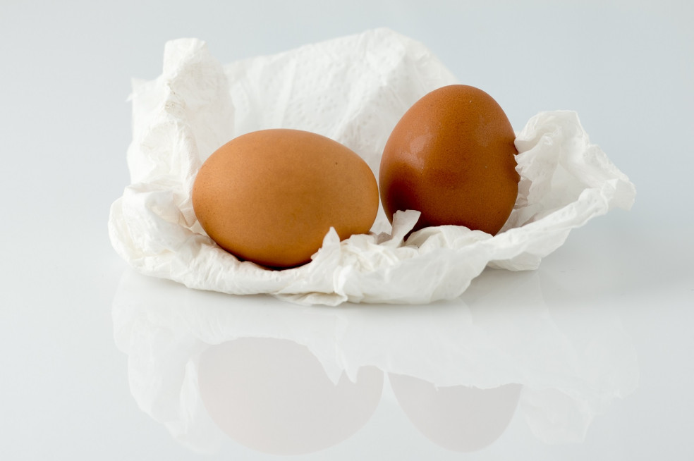 vajíčka a papierová utierka