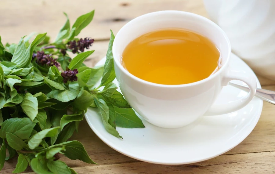 Bazalkový čaj, liečivý nápoj z bazalky posvätnej tulsi