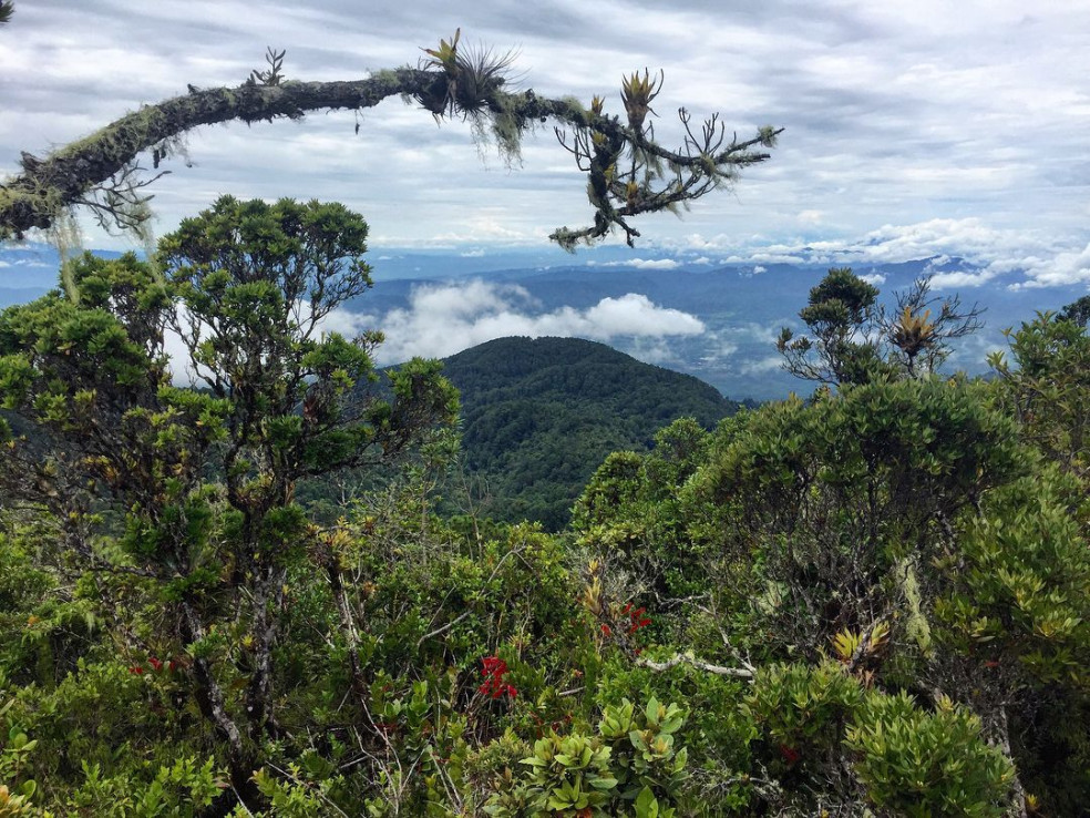 Honduras