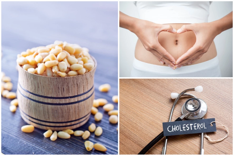 účinky píniových orechov