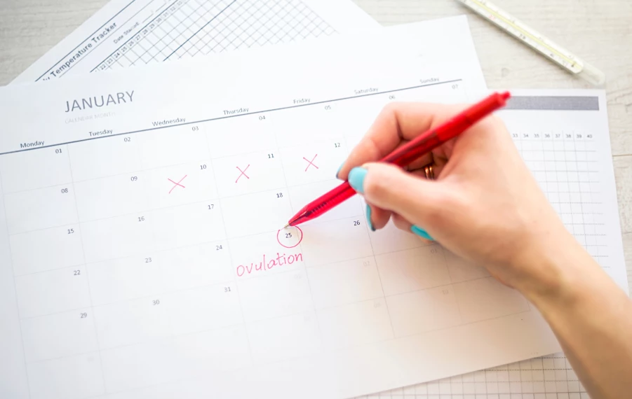 Kalendar ovulácie a plodné dni