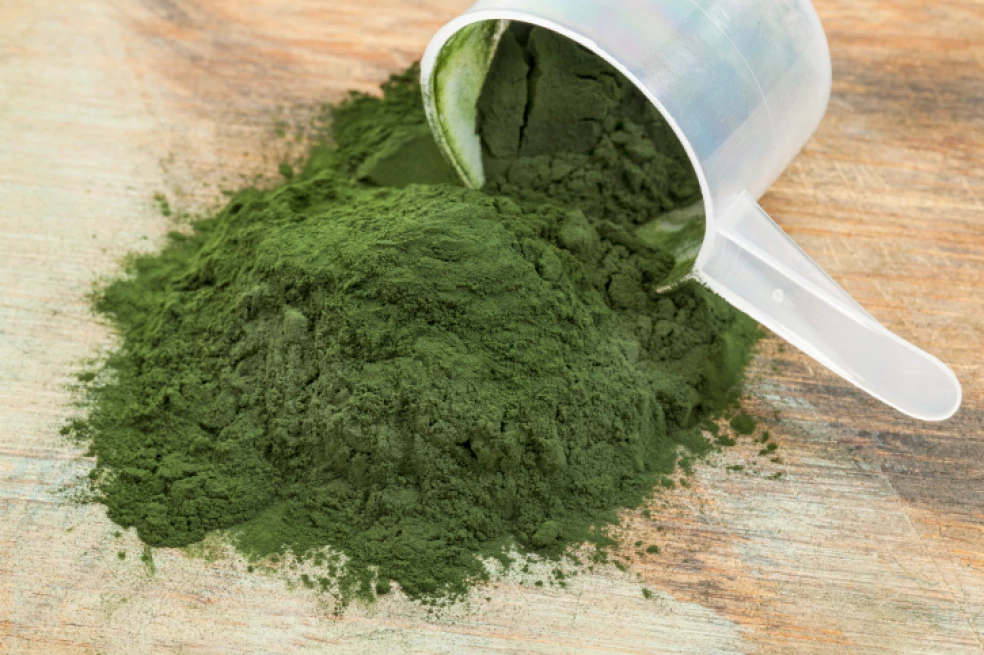 chlorella