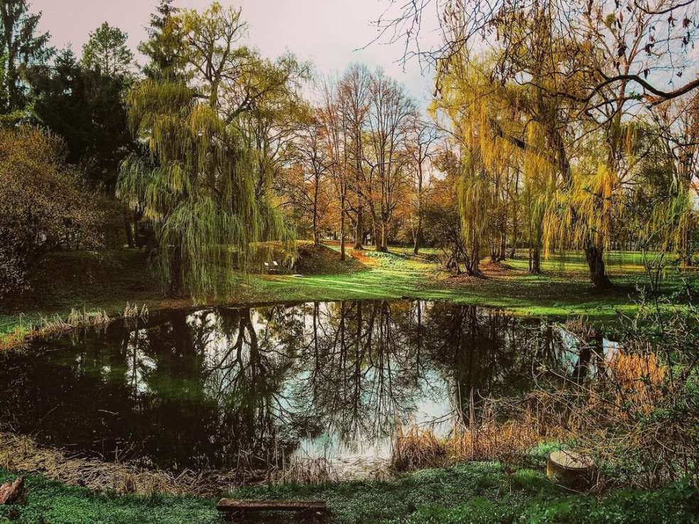 Arborétum Borová hora