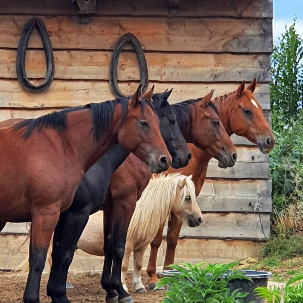 Madonan – Farm Park Bojničky