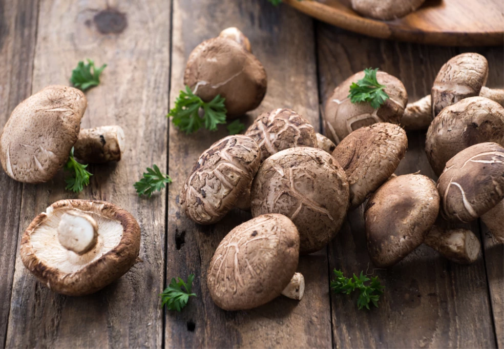 hríby shiitake