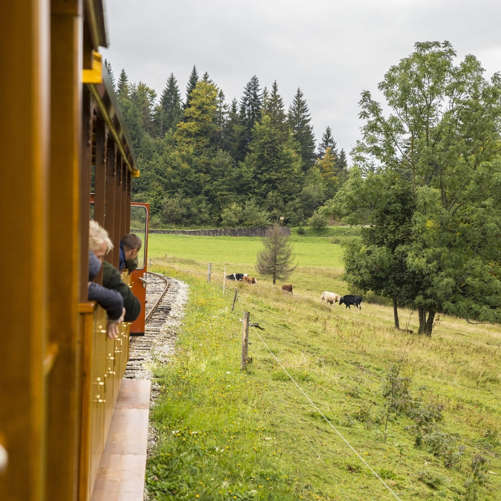 Oravská lesná železnica
