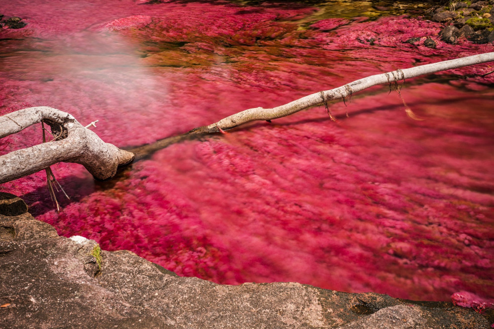 Cano Cristales