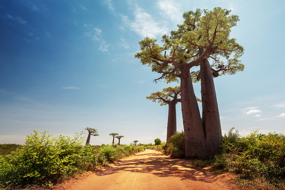 Madagaskar a jeho nádherná príroda