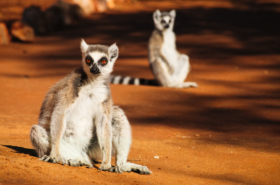 Madagaskar a jeho nádherná príroda