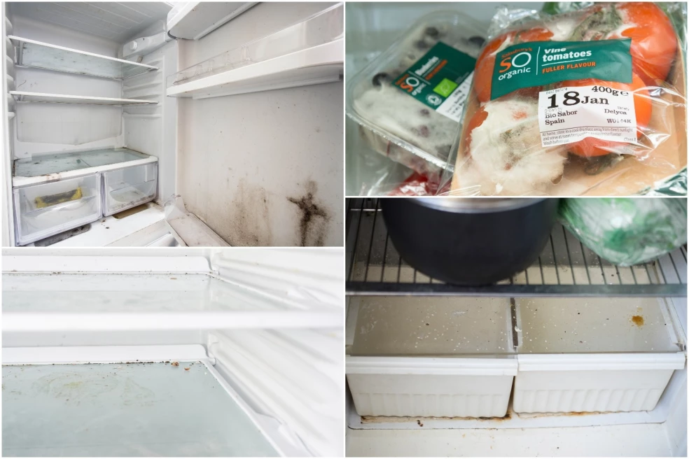 špinavé chladničky