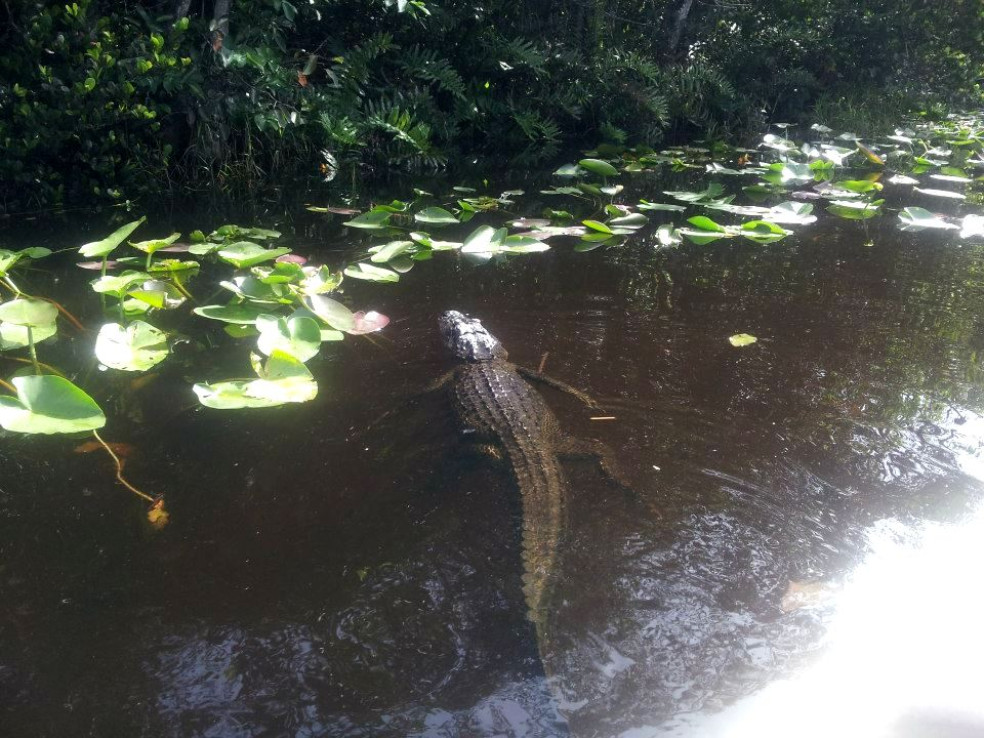 Miami -  mesto pláži a večernej zábavy