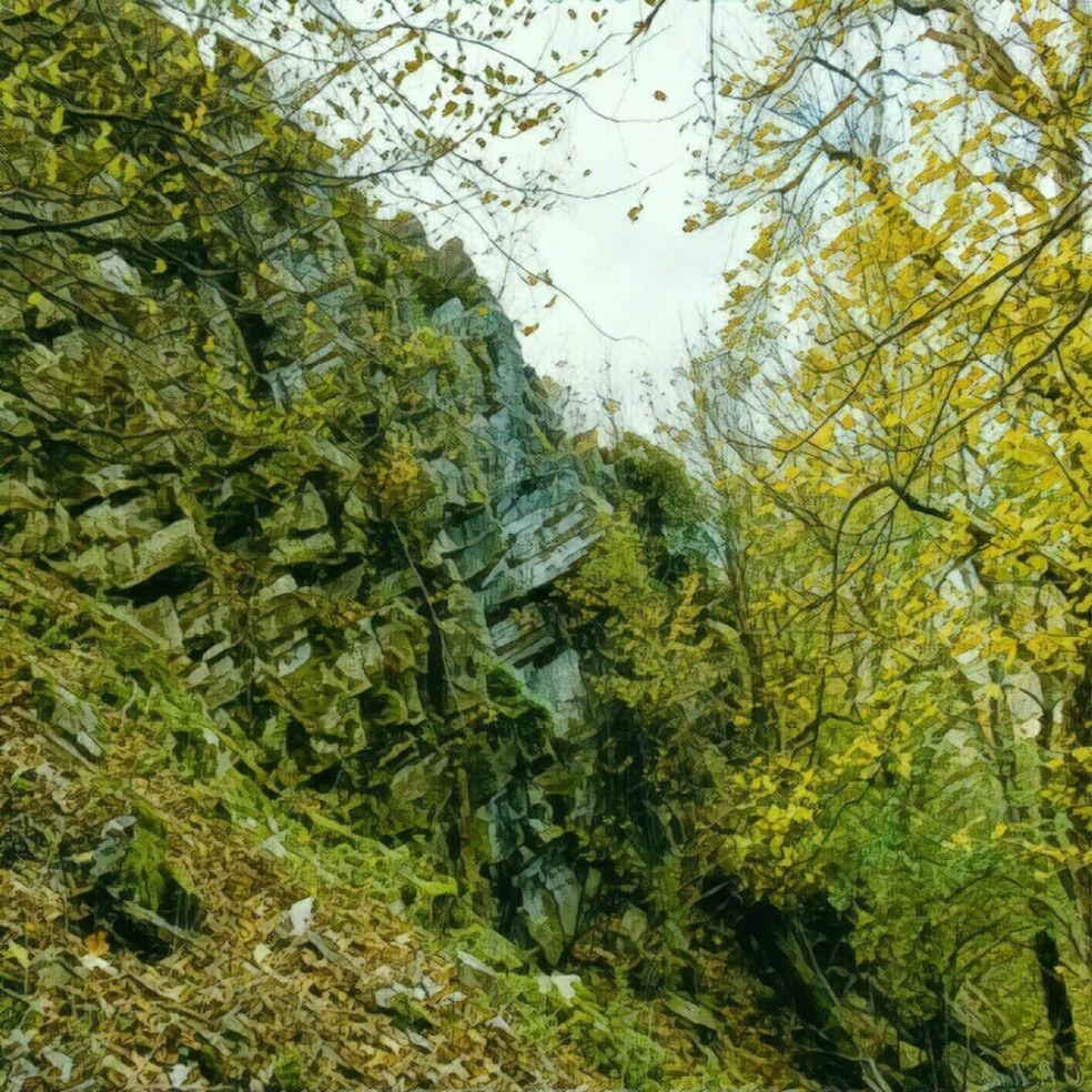 Tribečské lesy