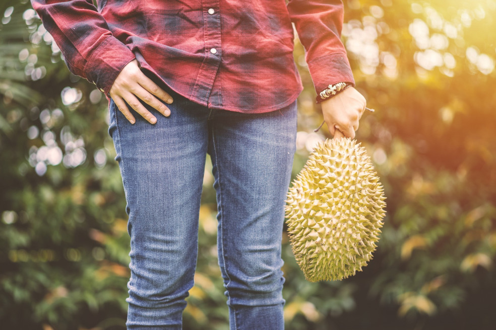 ako chutí durian