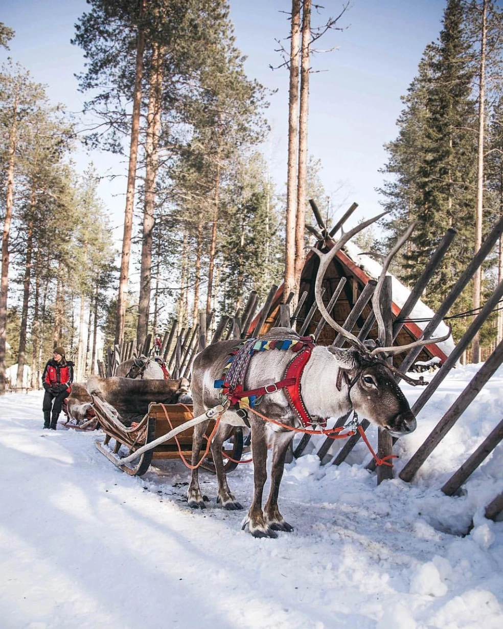 Santa Claus Rovaniemi