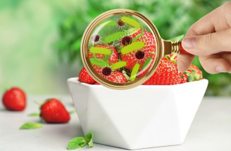 Alimentárne ochorenia alebo nákazy z potravín – ako sa im vyhnúť?