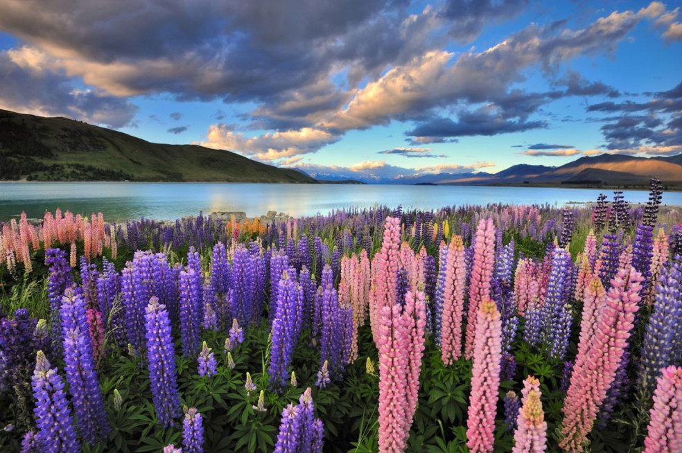 Nový Zéland - úžasná krajina na druhom konci sveta