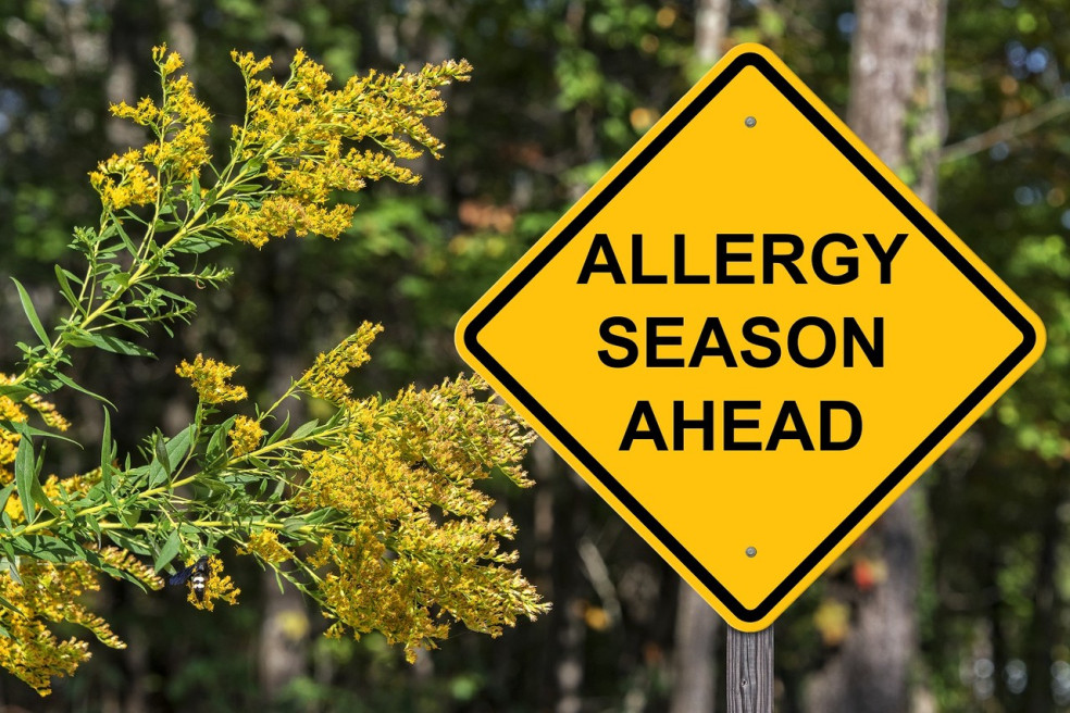 príznaky alergie