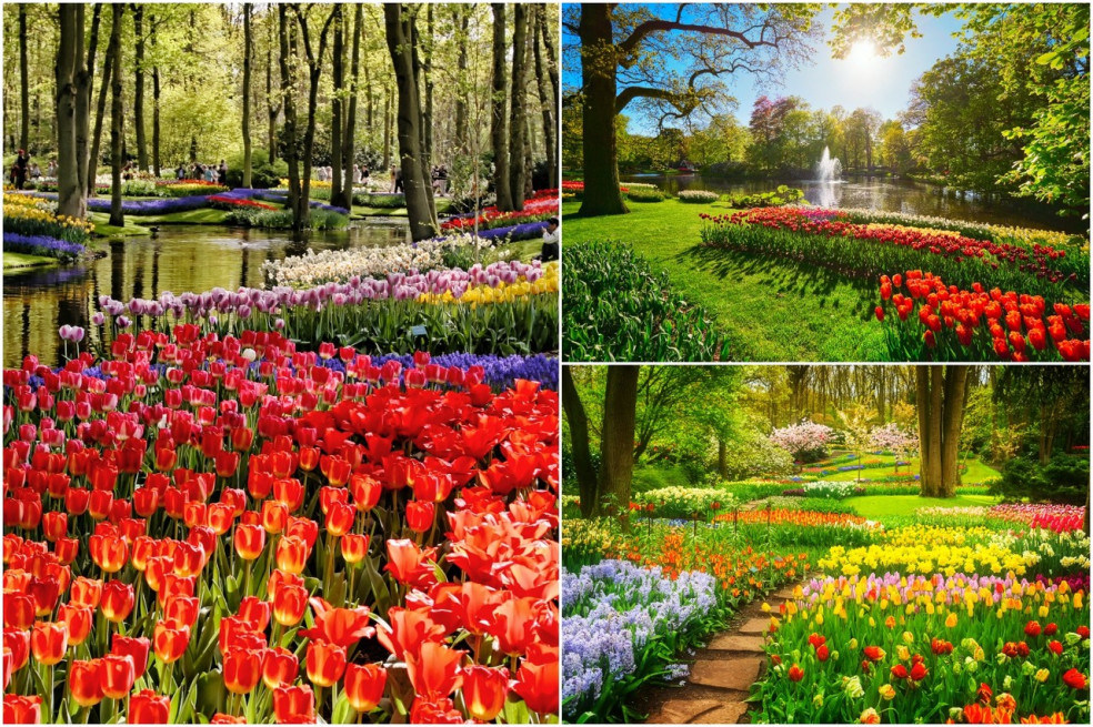 Keukenhof Gardens