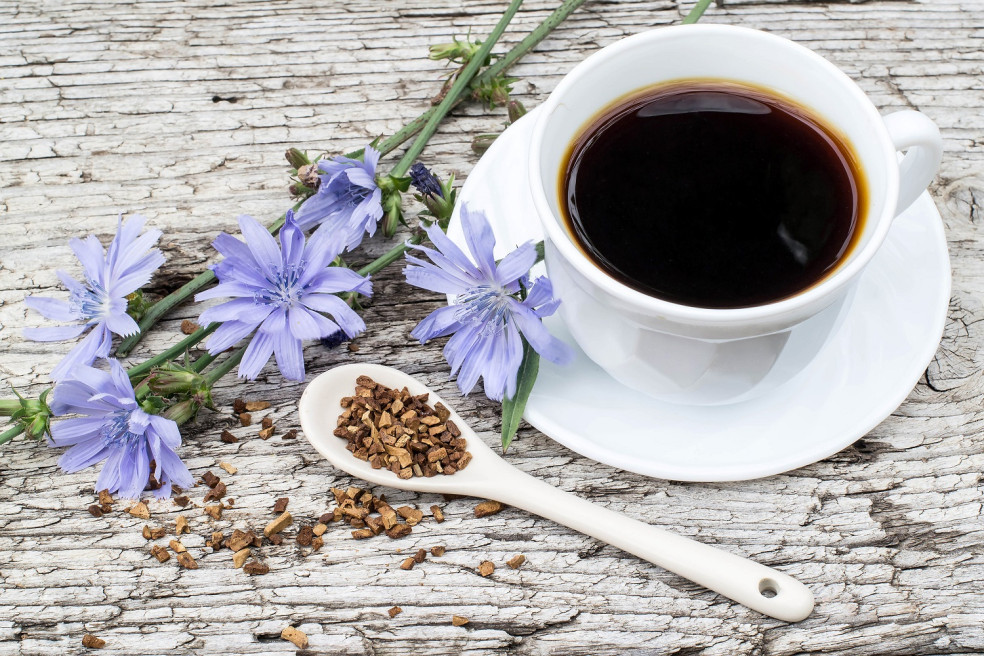 Z čakanky obyčajnej si môžete pripraviť liečivý čaj aj bezkofeínovú kávu