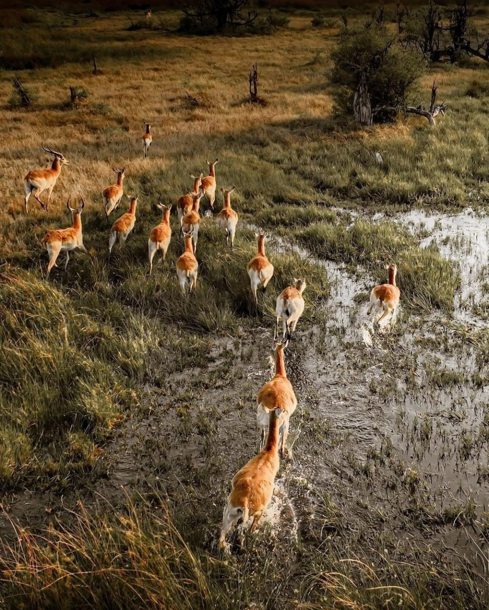 Botswana