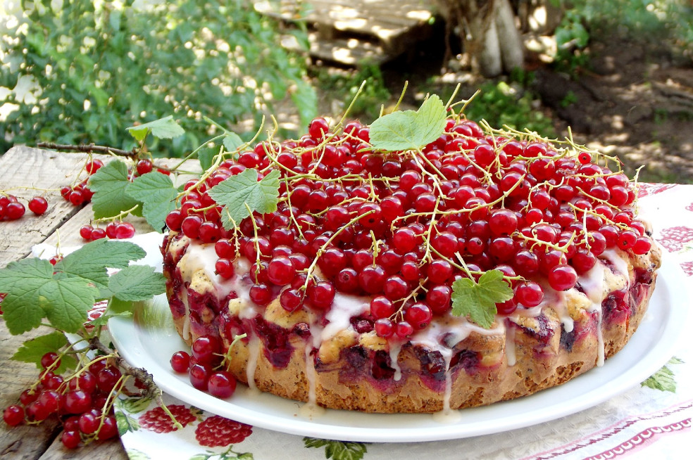 ríbezľovo-maková torta