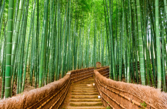 Jedinečné miesta: Bambusové háje Arashiyama na ostrove Kjóto