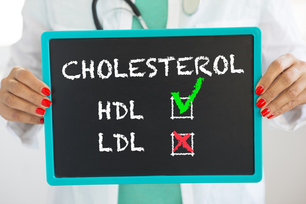 LDL a HDL cholesterol