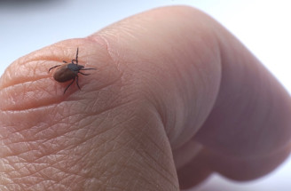 Domáci repelent proti kliešťom: Najúčinnejší, ktorý treba mať v zásobe!